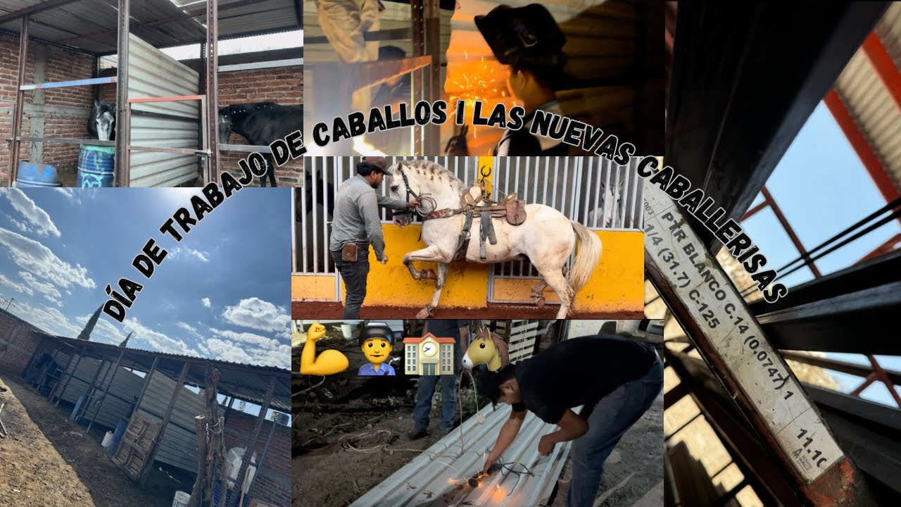 No podemos acabar con las nuevas caballerisas😳!!