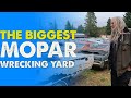 Wildcat mopars wrecking yard tour with mike