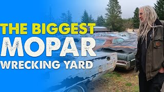 Wildcat Mopars Wrecking Yard Tour with Mike