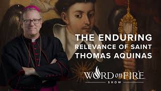 The Enduring Relevance of St. Thomas Aquinas - Bishop Robert Barron new