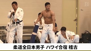 柔道全日本男子ハワイ合宿 稽古 - テレビ東京スポーツ