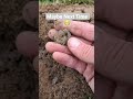 Metal Detecting Uk Wales
