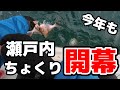 チャンスは一度だけ！一瞬をモノにする仕掛けで釣る！