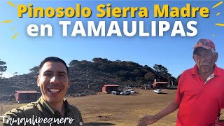 Pinosolo SIERRA MADRE aventura en las ALTURAS TAMAULIPECAS 🌲😱
