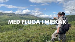 VLOGG  MED FLUGA I MIEKAK