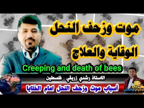 زحف وموت النحل أمام الخلايا الاسباب والمسببات والعلاج      للاستاذ رشدي زريقي