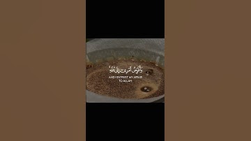 قران كريم #الرحمن #المصحف #لايك #دويتو #قرآن #ترند #حالات_واتس #اكسبلور #القزابري