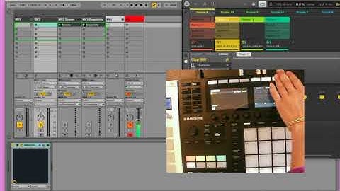 Maschine - Snapshots & Scenes Triggering in Ableton via MIDI (MK2 & MK3)