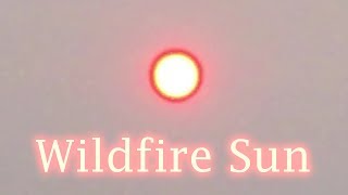 Bizarre Wildfire Red Sun