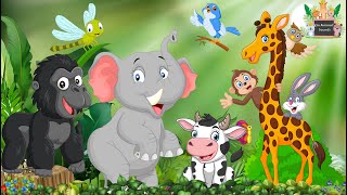 Cute Little Farm Animal Sounds: Cow, Gorilla, Elephant, Bird, Dragonfly  Animal videos