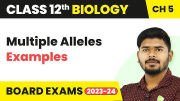 Multiple Alleles - Principles of Inheritance and Variation | Class 12 Biology NCERT/NEET (2022-23)