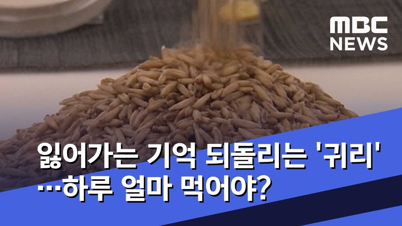 잃어가는 기억 되돌리는 '귀리'…하루 얼마 먹어야? (2019.12.04/뉴스데스크/MBC)