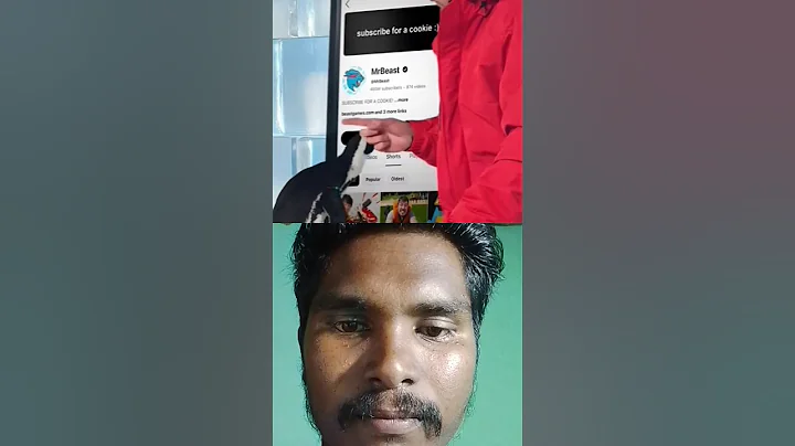 can l Teach a penguin To subscribe?