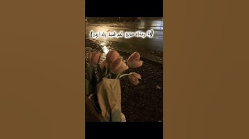 القرأن الكريم #*تلاوه خاشعه#_سوره ص #*استمع فقط🤍✨️🌴