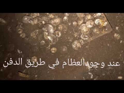عند ايجاد عظم عند الحفر علااالدفين منشور مهم عند الباحثين