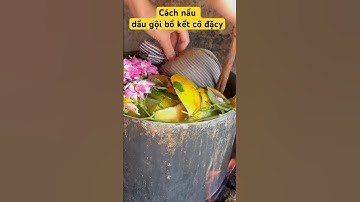 Cách nấu dầu gội bồ kết cô đặc | dầu gội bồ kết cô đặc |