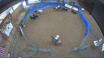 Big Sky Ranch Sorting Saddle Series #6 - Open - Round #2 - Ride #13