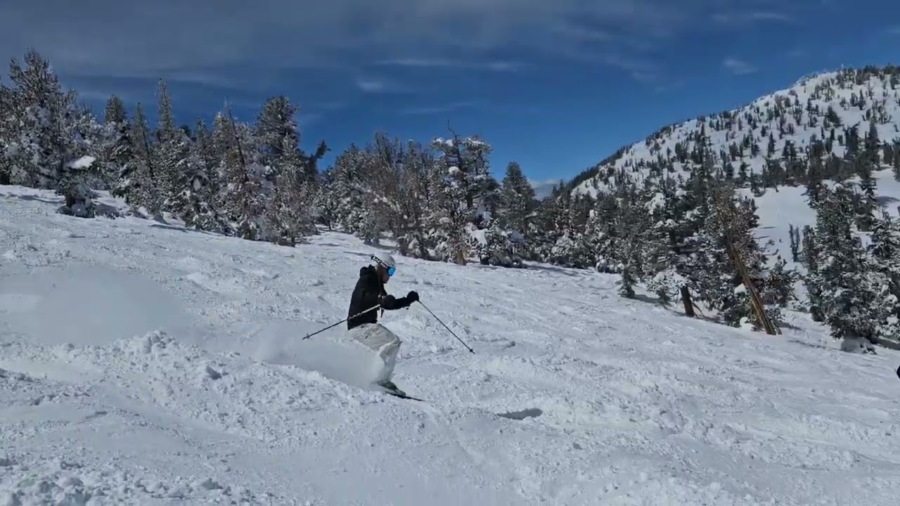 Walt on Little Dipper mogul trail at Heavenly ski resort