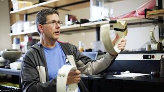 Science Literacy Week 2018: Dr. Nick Lunn - GPS collars