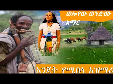 በተደጋጋሚ ሲፍለግ የነበርው ዝነኛው ወንድሙ አማር ተገኝቷል ዘናበሉ Ethiopia Azimari