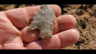 Hunting Arrowheads, Plowed Field 10/27/22