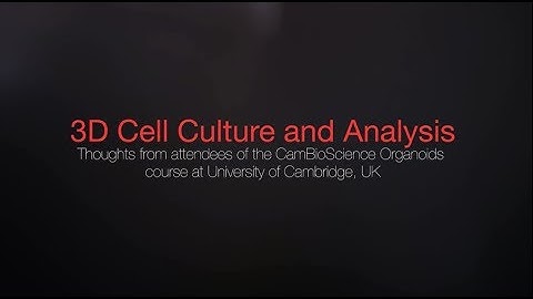 3D Cell Culture and Analysis: Thoughts from Luigi Aloia, PhD