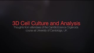3D Cell Culture And Ysis Thoughts From Luigi Aloia, Phd