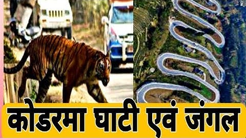 KODERMA VALLEY Koderma Valley which is the most dangerous forest and beautiful view koderma valle...