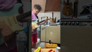 Fender Vibroverb Blackface w/ JBL D130F Speaker & 1965 Fender Stratocaster
