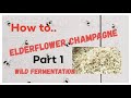 How to Make Elderflower Champagne Easy at Home Guide Part 1 | Elderflower Sparkling Wine