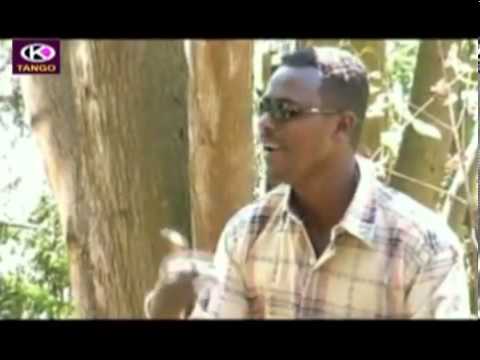 Fayyisaa Furii   Intala Booranaa Oromo Music