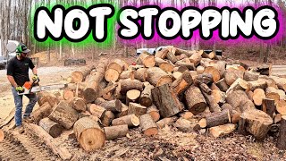 FIREWOOD FOR DAYS | NOT LEAVING UNTIL IT'S DONE!