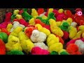 Many Coloured Chicken Baby, Coloured Chicks, Baby Chicken | Our Lifestyle