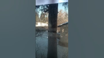 Thumbnail of I can see clearly now the rain is gone