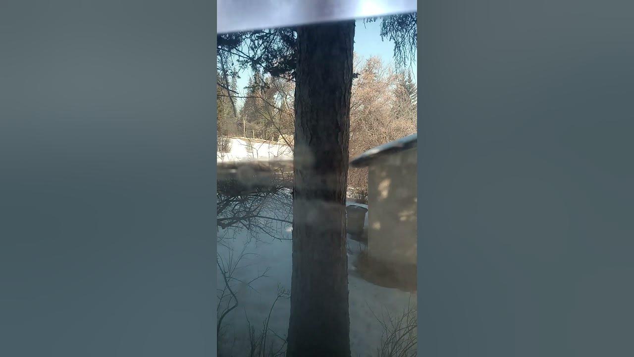 I can see clearly now the rain is gone