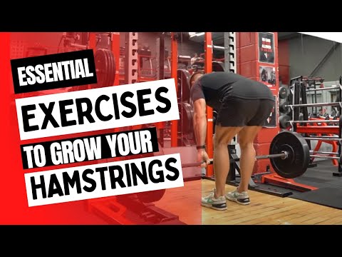 Essential Exercises to Grow Your Hamstrings | The Fitness Maverick