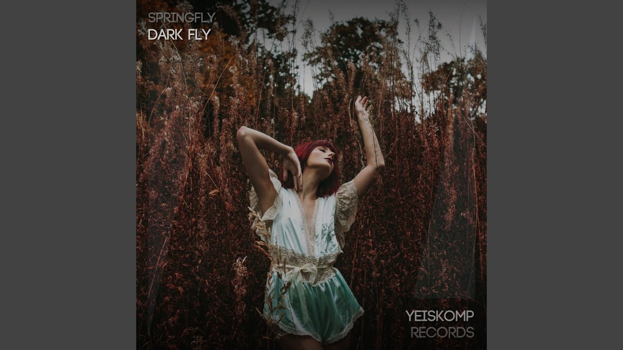 Obejrzyj Dark Fly (Original Mix) w YouTube Obejrzyj Dark Fly (Original Mix) w YouTube