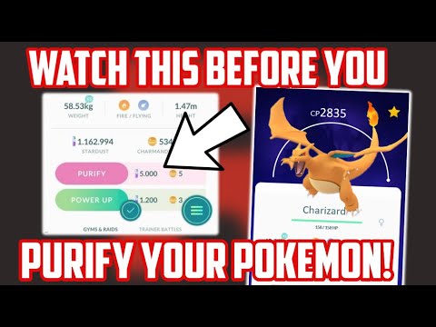 Watch This Before You Purify Shadow Pokemon In Pokemon Go!