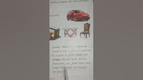 Science class two 1st term lecture#19 18-5-2021