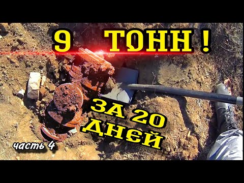 БЬЕМ РЕКОРДЫ! Не битое место! #заработок #metaldetecting #копарь #коп #металлокоп #hunting #котокоп