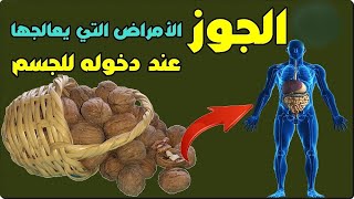 فوائد وأضرار جوزالبقان أو الكركاع أو عين الجمل