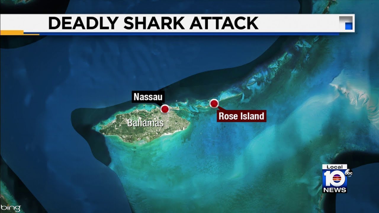 Tourist killed by shark while snorkeling in Bahamas with family
