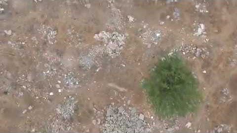 ReelSteady GO Test Hero 6 Firmware 1.6