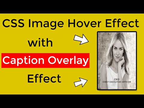 CSS Image Hover Effect - CSS Image Overlay Hover Effects