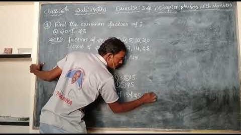Ex. 3.4 - Playing with Numbers  Common factors & Common Multiples  - Video 02