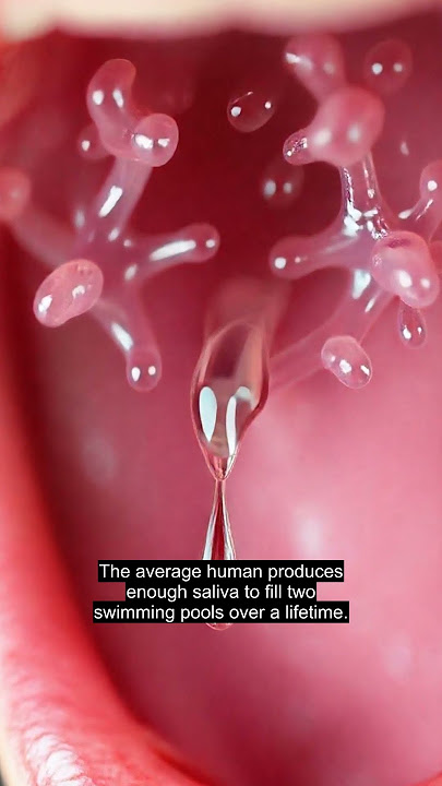 The Surprising Truth About Human Saliva Production