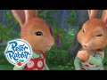 Peter Rabbit -  Tricking Mr. Tod | Cartoons for Kids