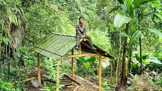 Build a shelter in the wild forest, Find food by the natural stream - Tropical Forest