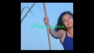 Kitna pyara h ye pyaar pyara pyara full video // josh full video // hindi video