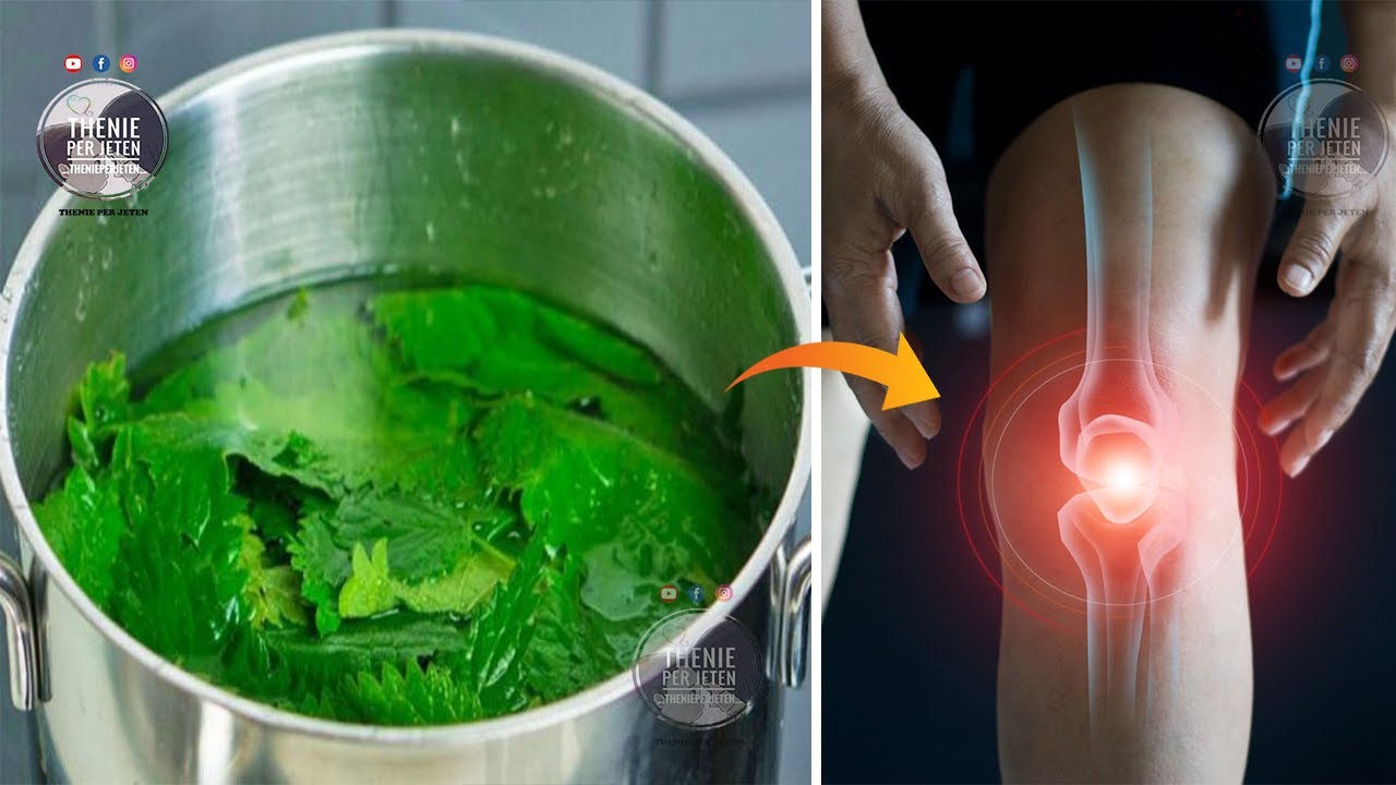 Lëngu i hithrave, ja si duhet ta përdorni për dhimbjen e kyçeve